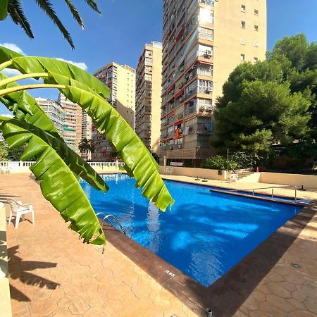 Don Miguel I-2 Apartment Benidorm Ngoại thất bức ảnh