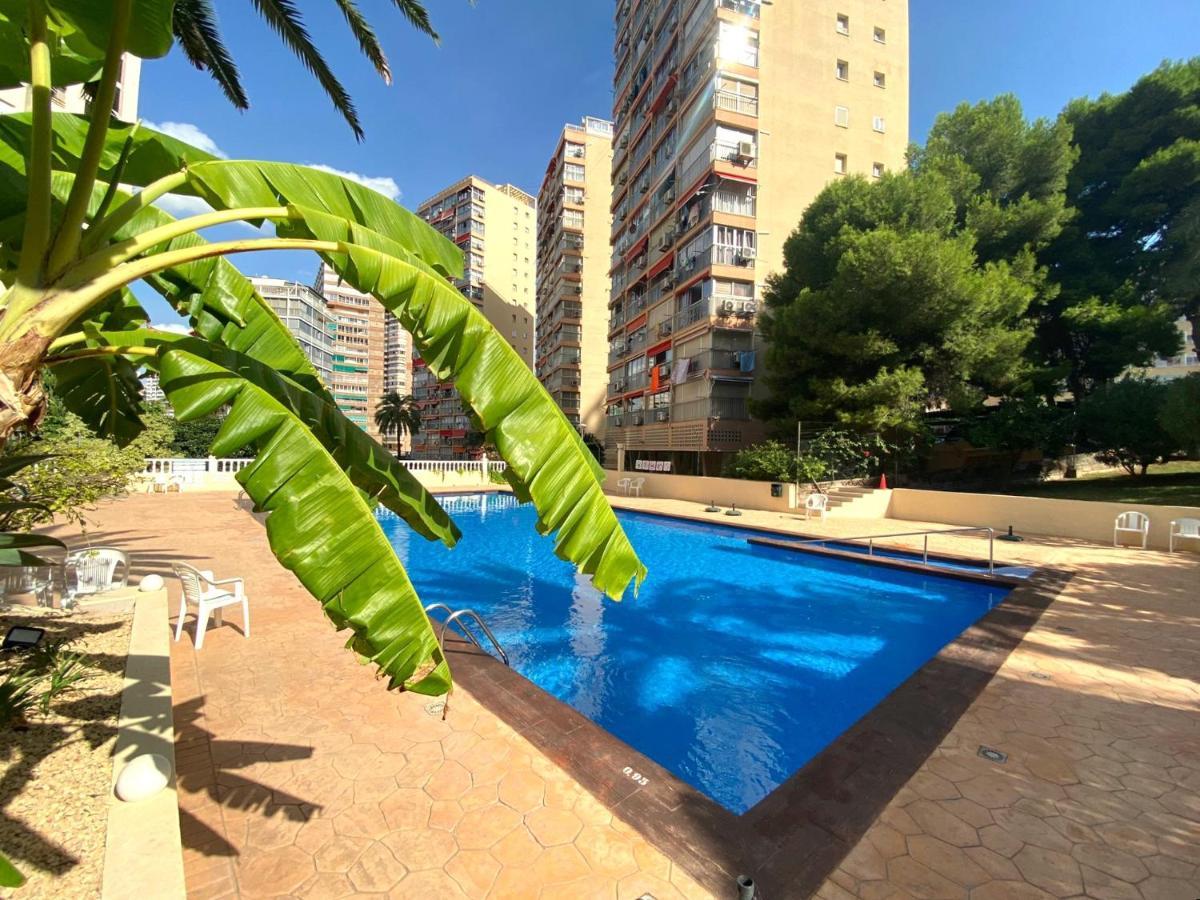 Don Miguel I-2 Apartment Benidorm Ngoại thất bức ảnh